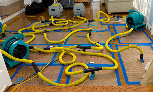 Professional Sewage Cleanup technician working in Schertz, TX